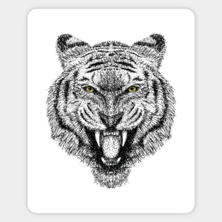 Tiger Roar Sticker